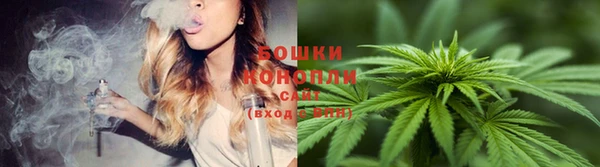 Альфа ПВП Верея
