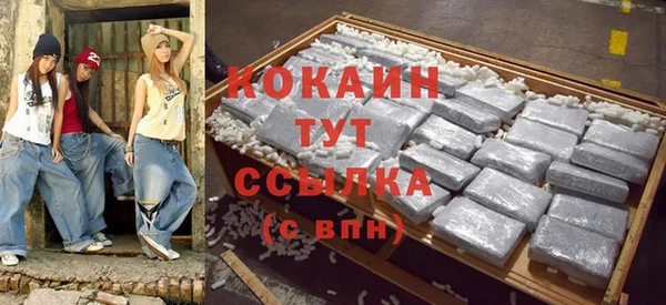 Альфа ПВП Верея