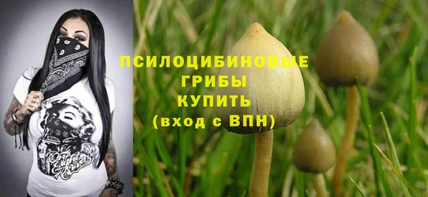 spice Верхний Тагил