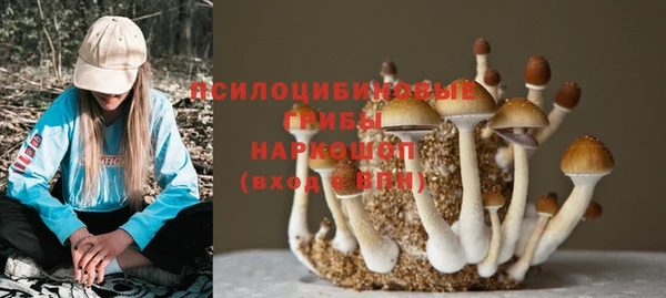 spice Верхний Тагил